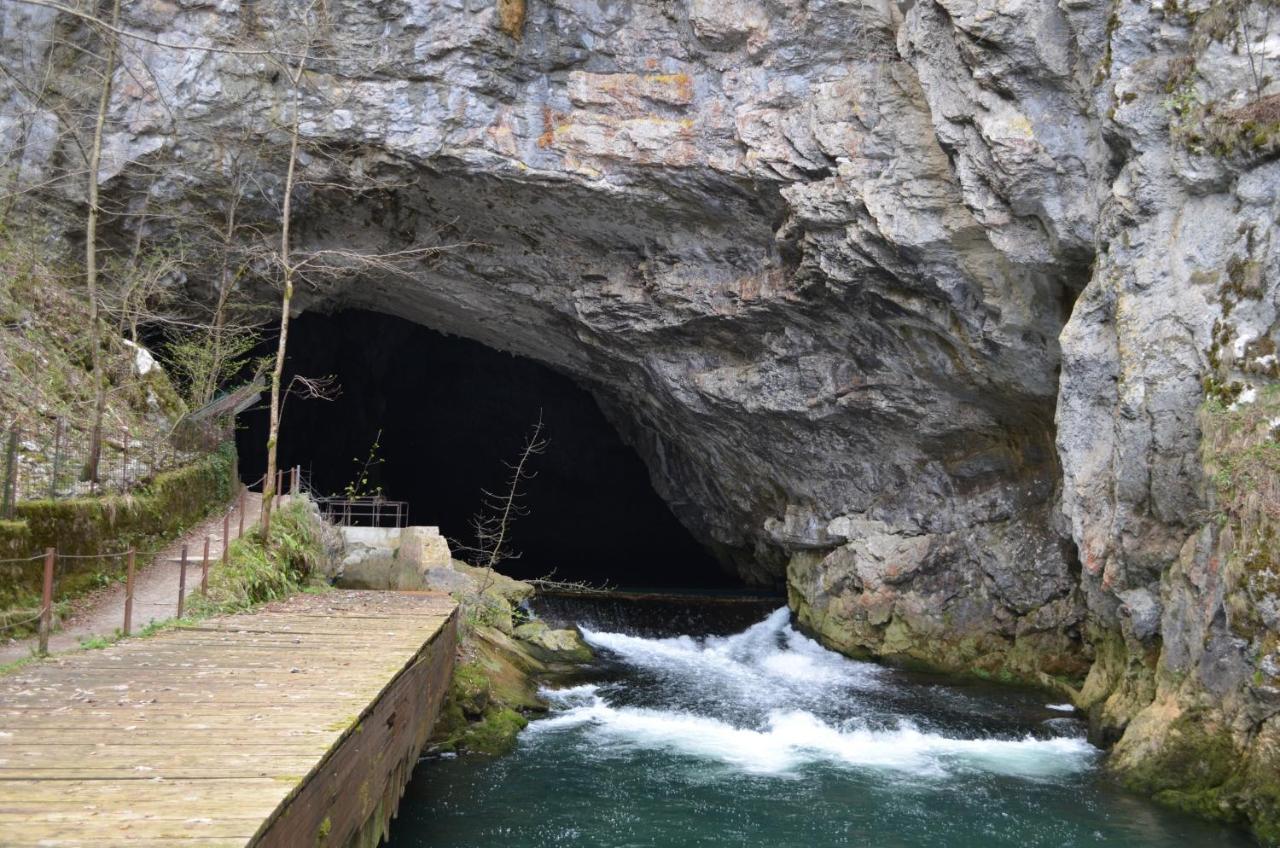 Apartma Nika Planina  Exteriér fotografie