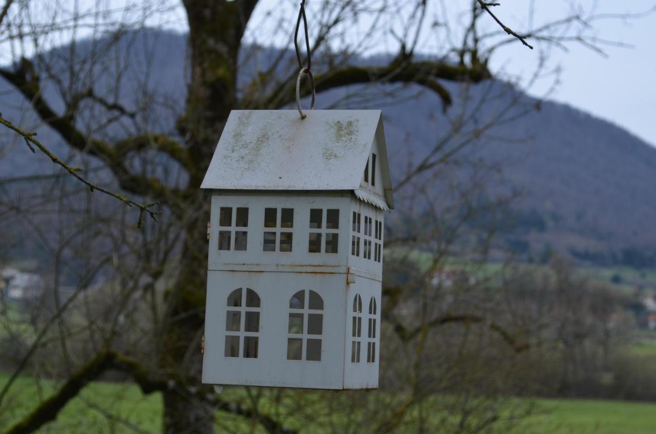 Apartma Nika Planina  Exteriér fotografie