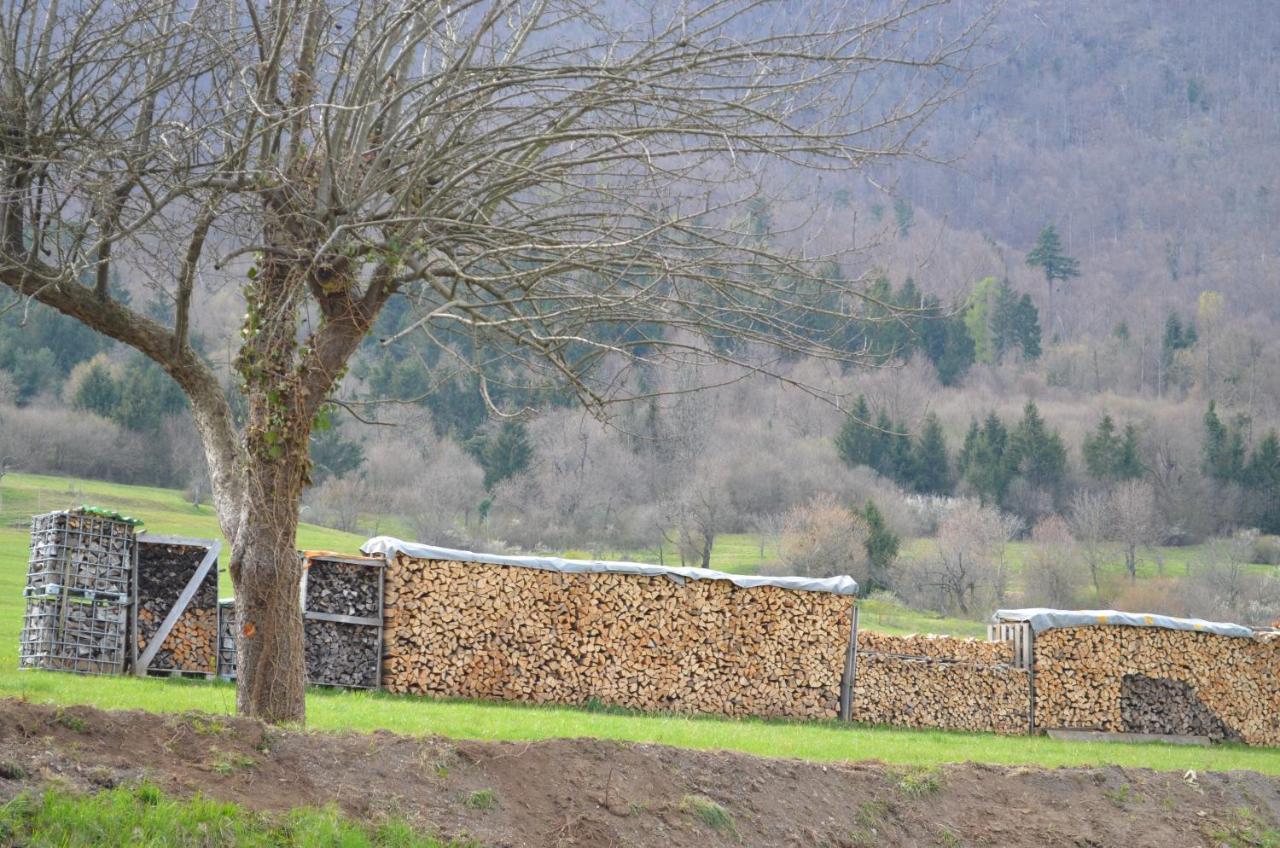 Apartma Nika Planina  Exteriér fotografie