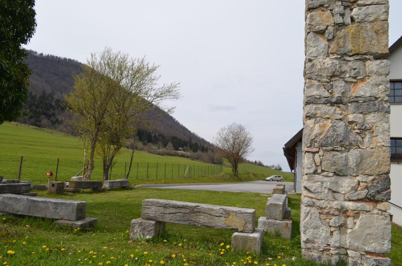 Apartma Nika Planina  Exteriér fotografie