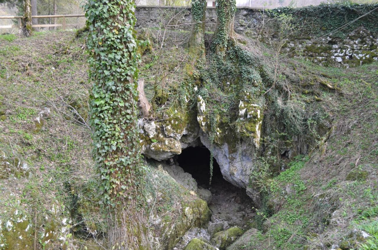 Apartma Nika Planina  Exteriér fotografie