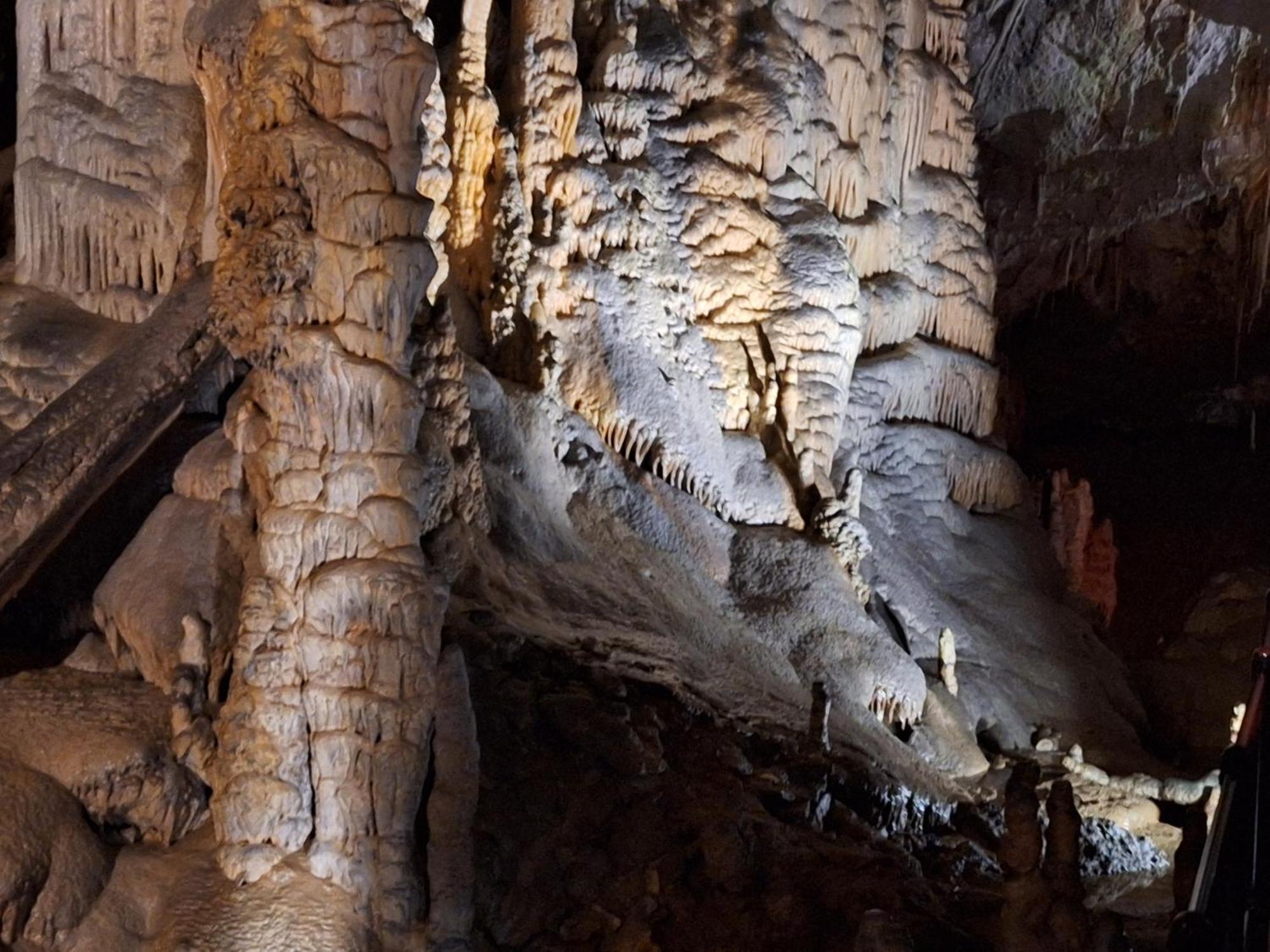 Apartma Nika Planina  Exteriér fotografie