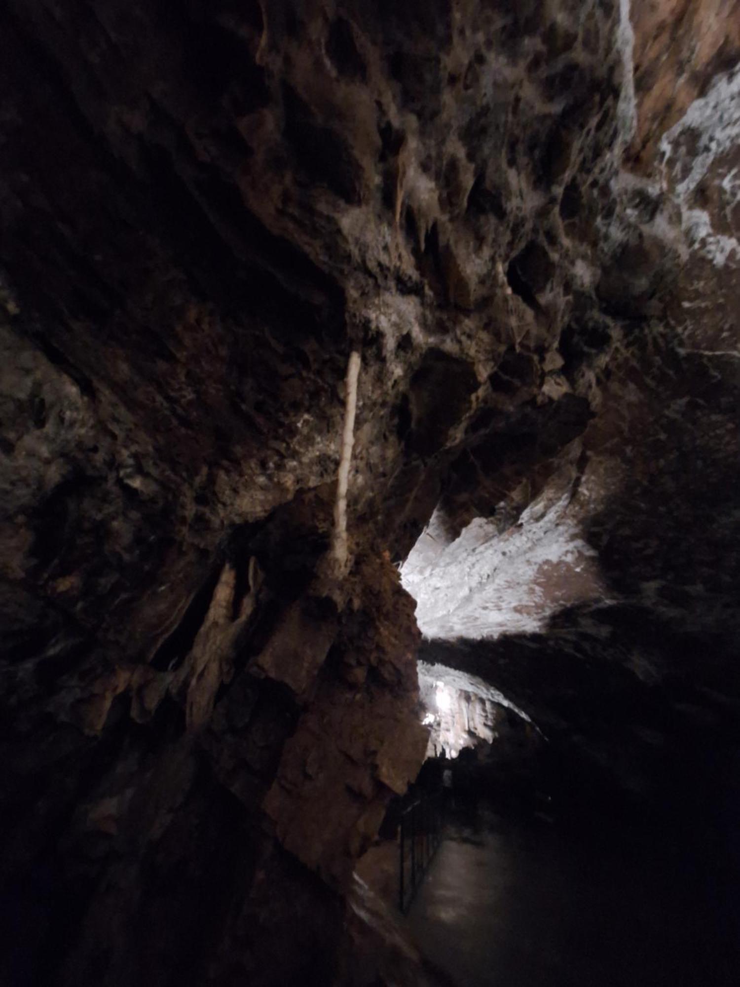 Apartma Nika Planina  Exteriér fotografie